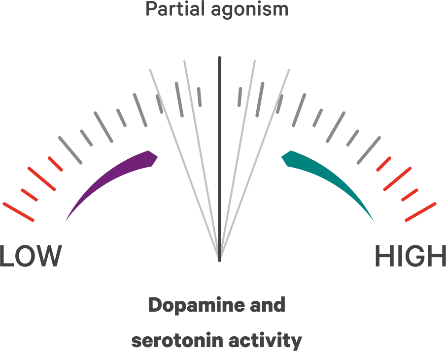 Dial showing dopamine and serotonin activity with partial agonism.