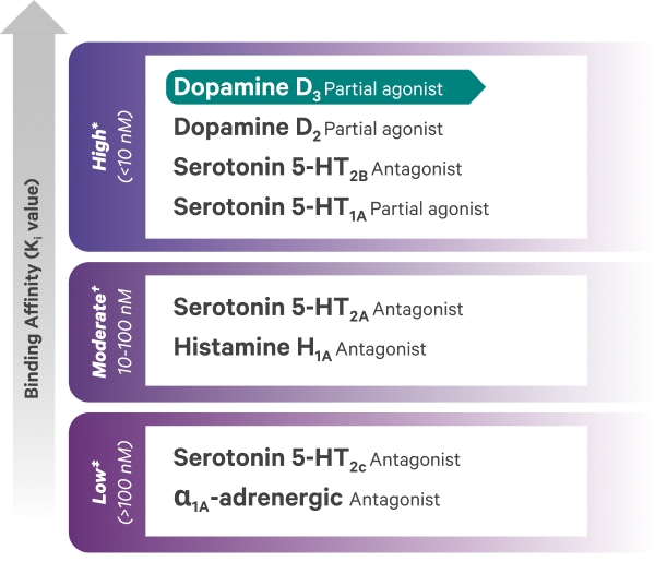 Chart showing VRAYLAR receptor binding affinity.