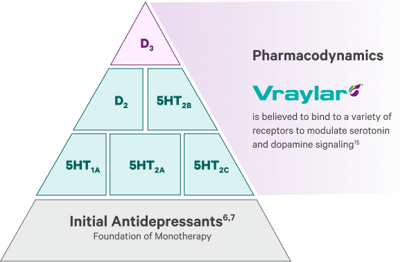 Pyramid diagram showing pharmacodynamic receptor binding.