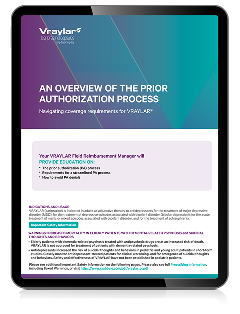 Prior Authorization Process Brochure PDF thumbnail.