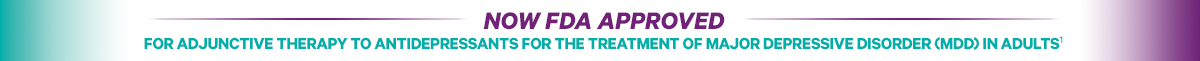 Now Aprroved Banner